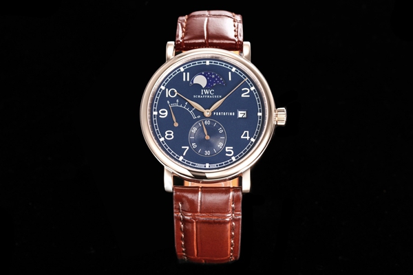 アイ・ダブリュー・シー背面デザイン